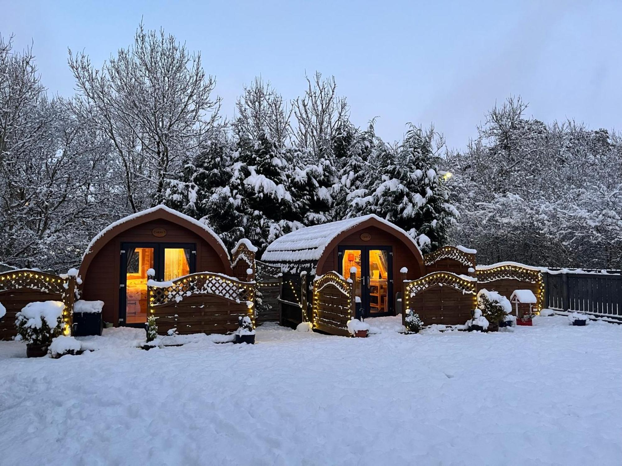 Conifer Cabins Fort William Eksteriør bilde